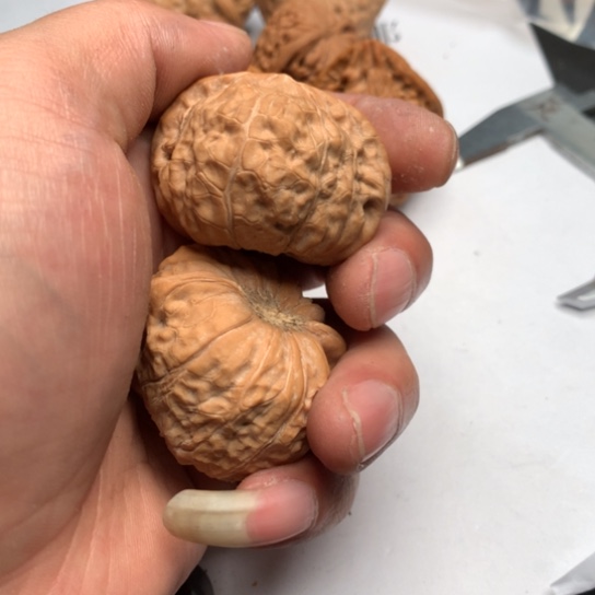 喜****我的心好痛啊好痛好