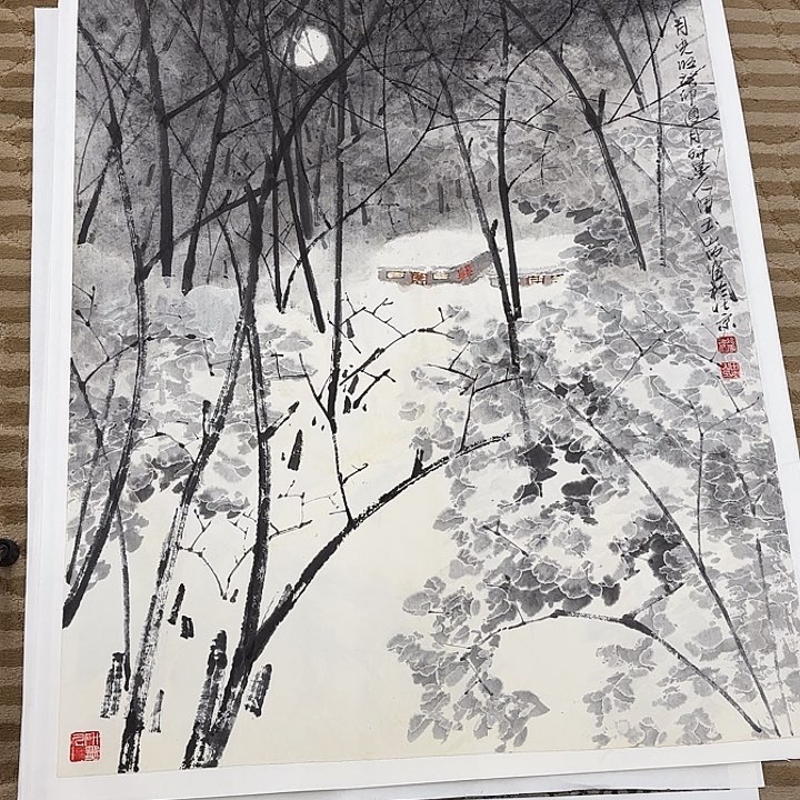 国画名*王花鸟等多种鸟类的栖息地和栖息地