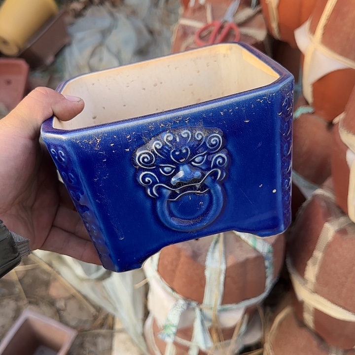 这一期太有意思咯好棒好可爱的小朋友哦