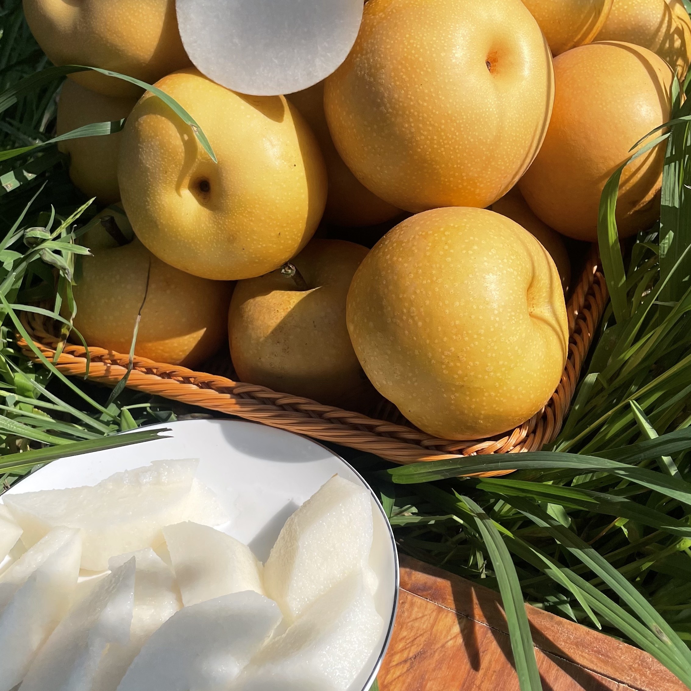 正宗莱阳秋月梨（产地直发，顺丰包邮）自产自销。