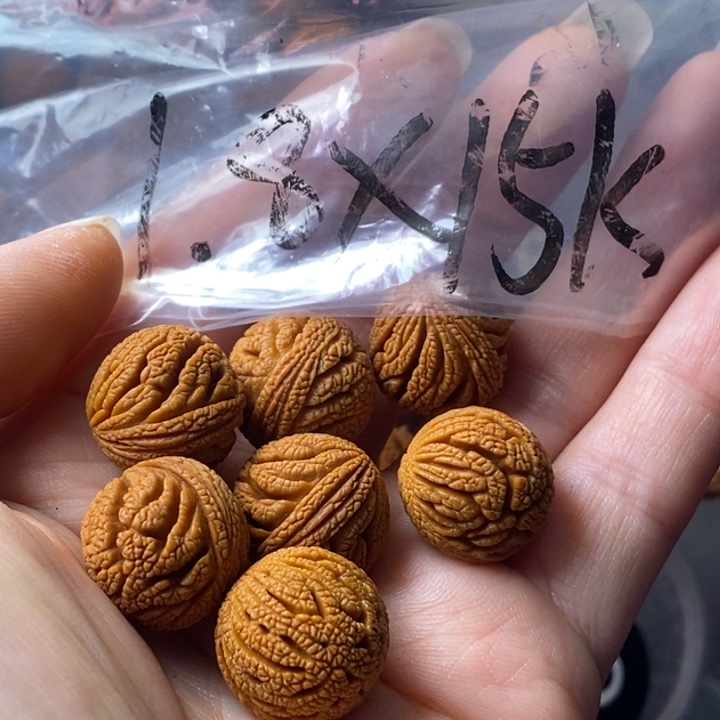 手串文玩核桃秦岭野生龙纹桃核18