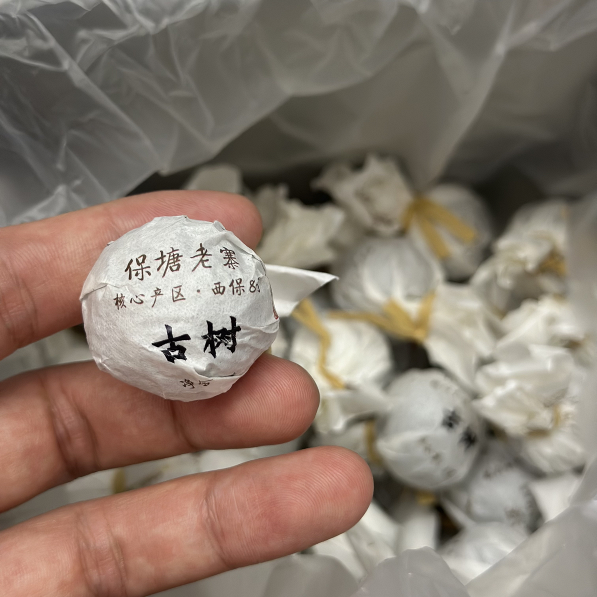 【品牌承包地块】保塘老寨2025年古树春茶生茶·8克手工龙珠