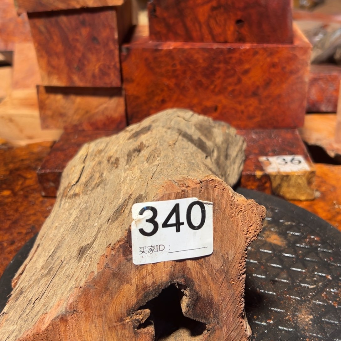 大果紫檀（缅甸花梨）