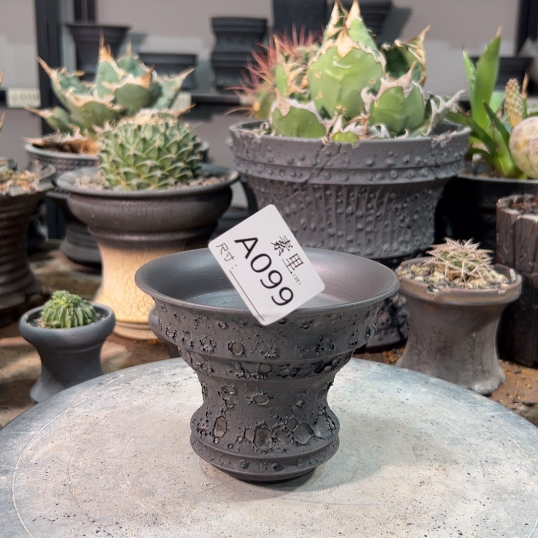 景德镇手工素里内口12高9.5