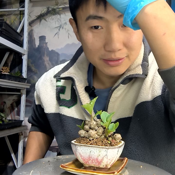 欣****中青园艺一物一拍花219
