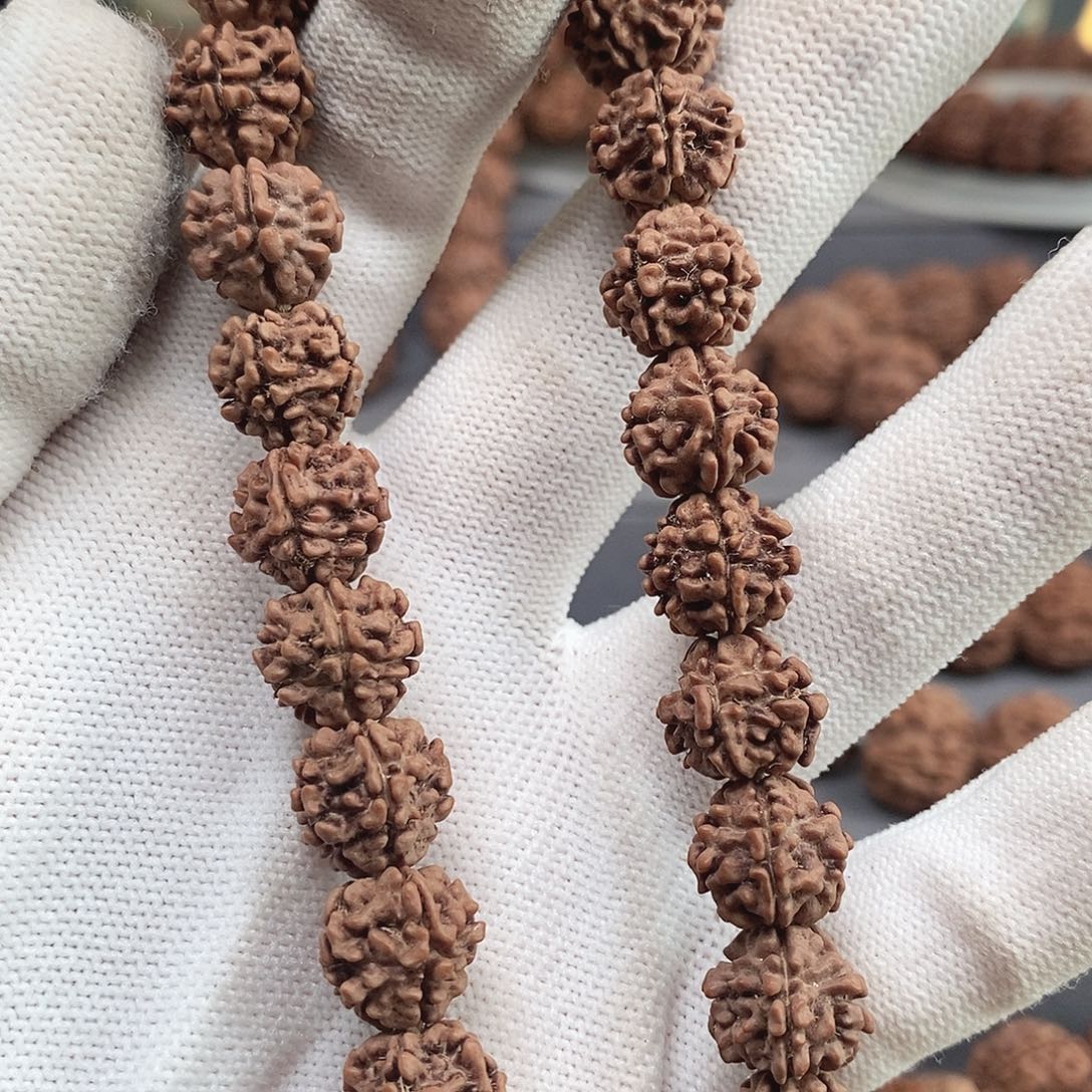 金刚菩提吊坠12mm五星龙脊头货