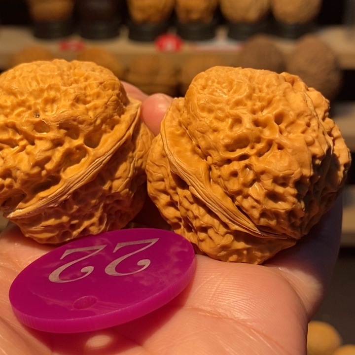 木质类富贵牡丹42尺寸