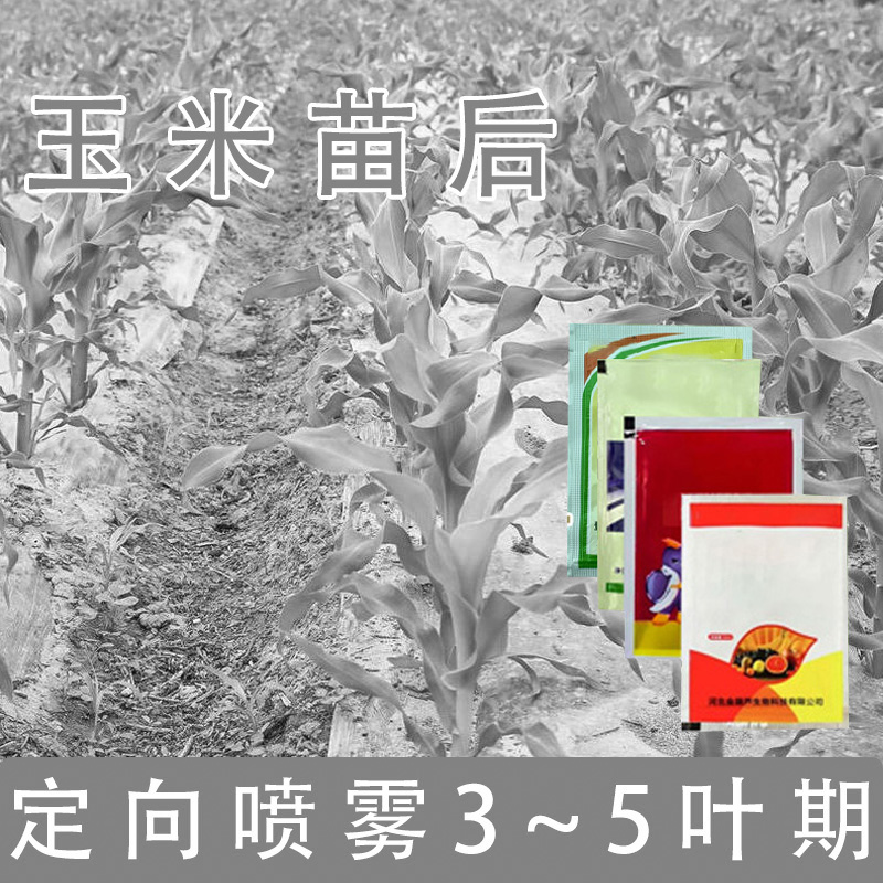 玉米糯玉米甘蔗不影响生长有机质肥料
