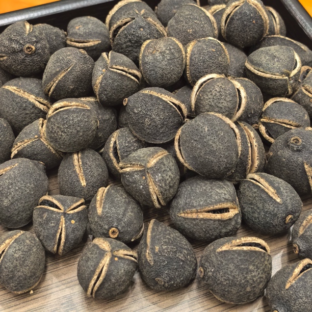 三花翁果 翁存法 原枝老树 一斤 罐装