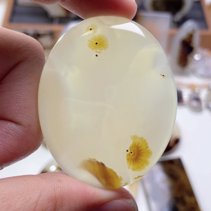 【闪购商品】玛瑙/玉髓颈饰未镶嵌