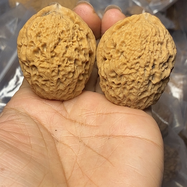 文玩核桃把件云南铁核桃88