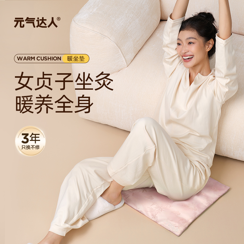 元气达人艾绒女贞子热敷坐垫女生温灸坐垫办公室电加热坐垫D