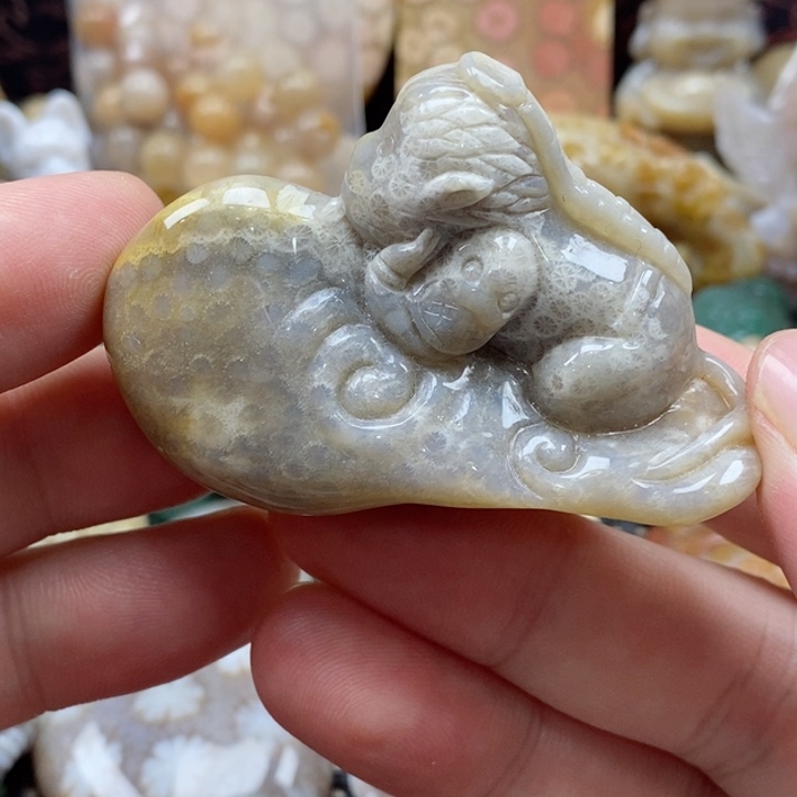 硅化珊瑚（珊瑚玉）颈饰未镶嵌