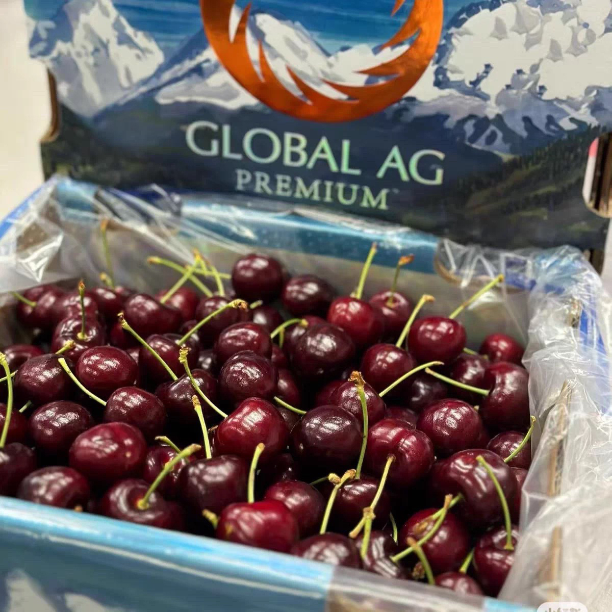 《小军严选》雪山车厘子 2JD智利空运直达（收到货先冰箱冷藏6小时食用）g