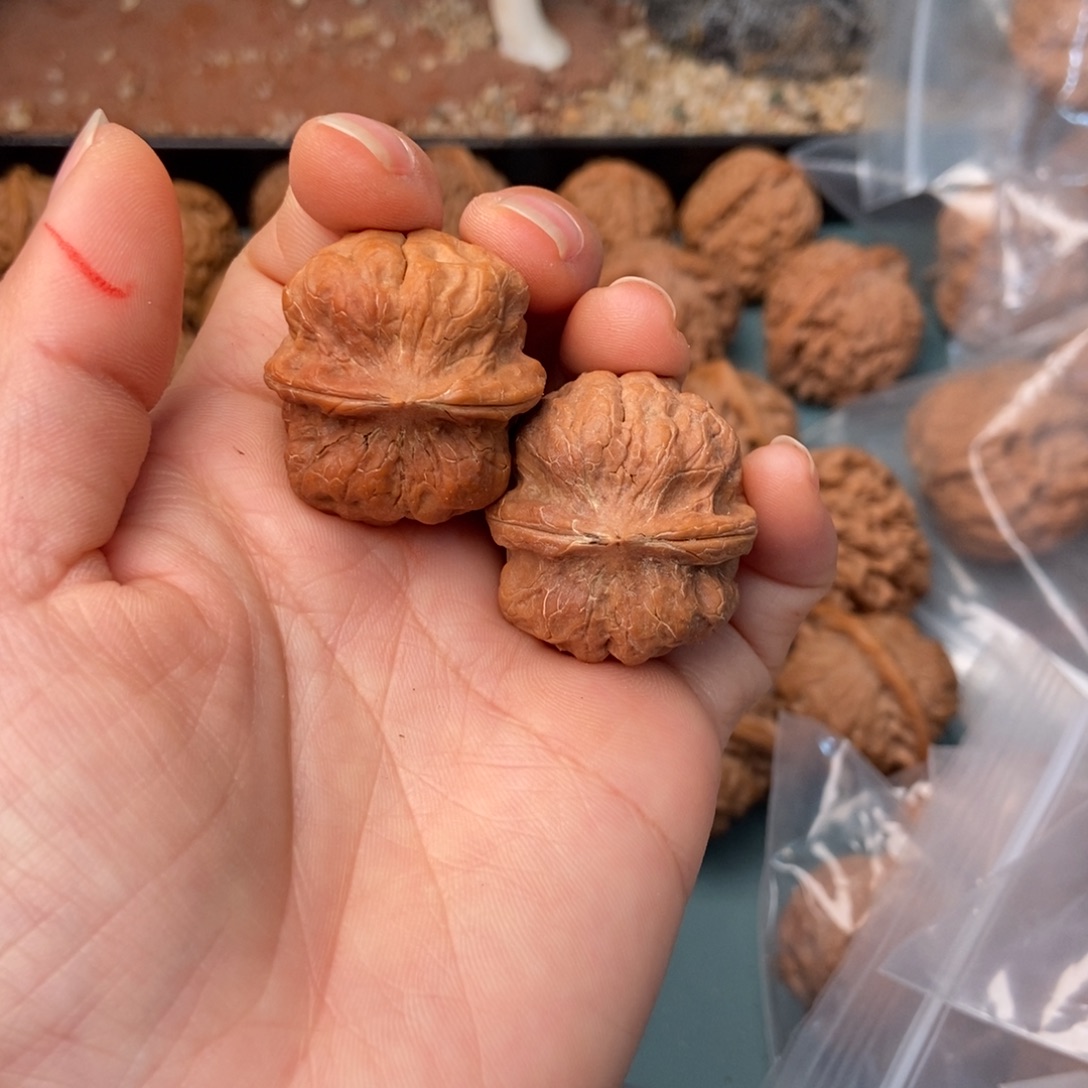 外***。文玩核桃吊坠疙瘩包29