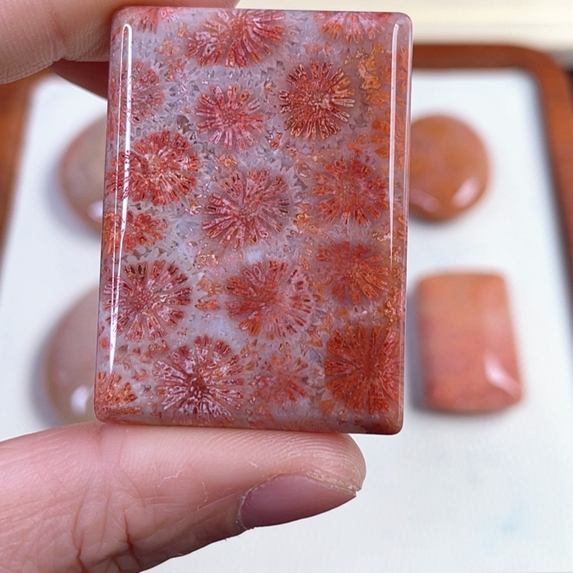 【闪购商品】硅化玉吊坠(赠链)未镶嵌名**阁