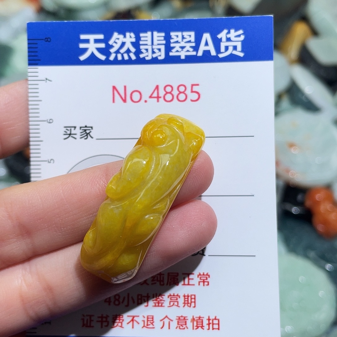 翡翠未镶嵌挂件4885