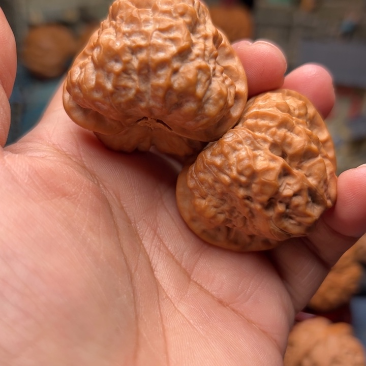 感***)核桃42蛤蟆头蛤蟆头蛤蟆头