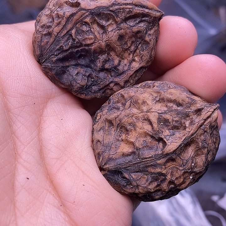 文玩核桃把件   145