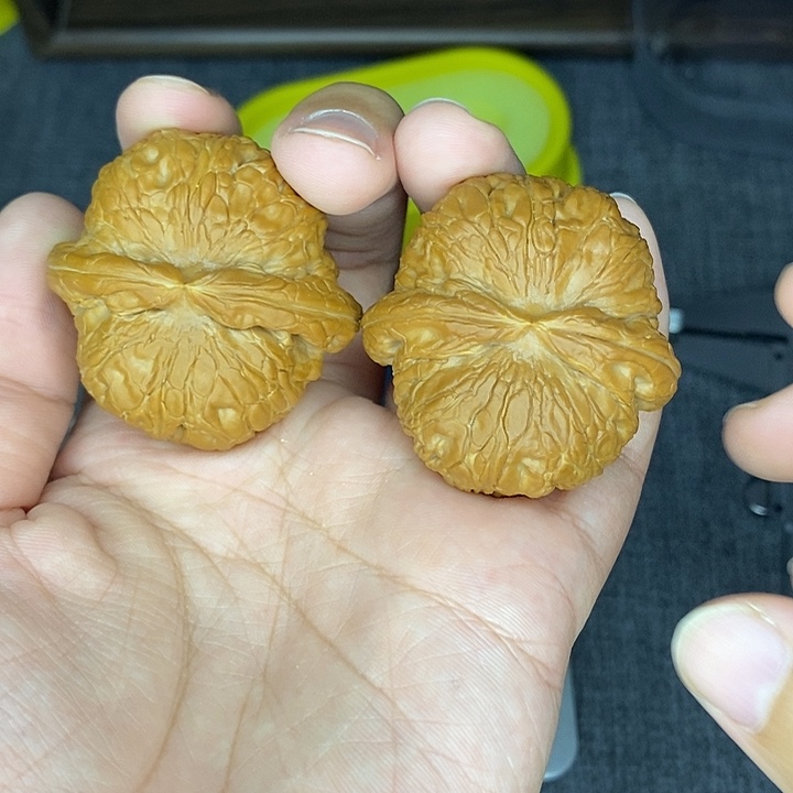 米***543➕尺寸元宝全品无修