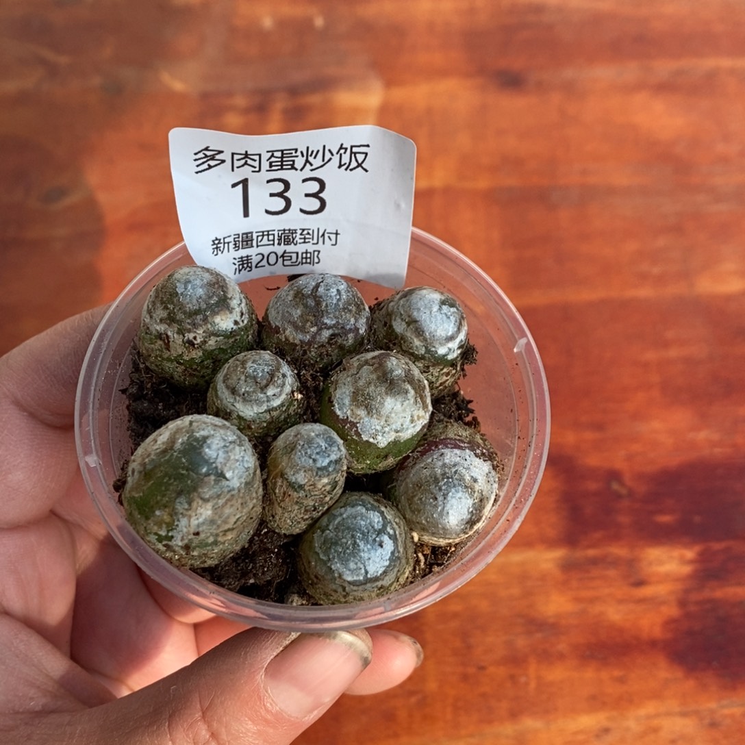 感谢您的光临，0133