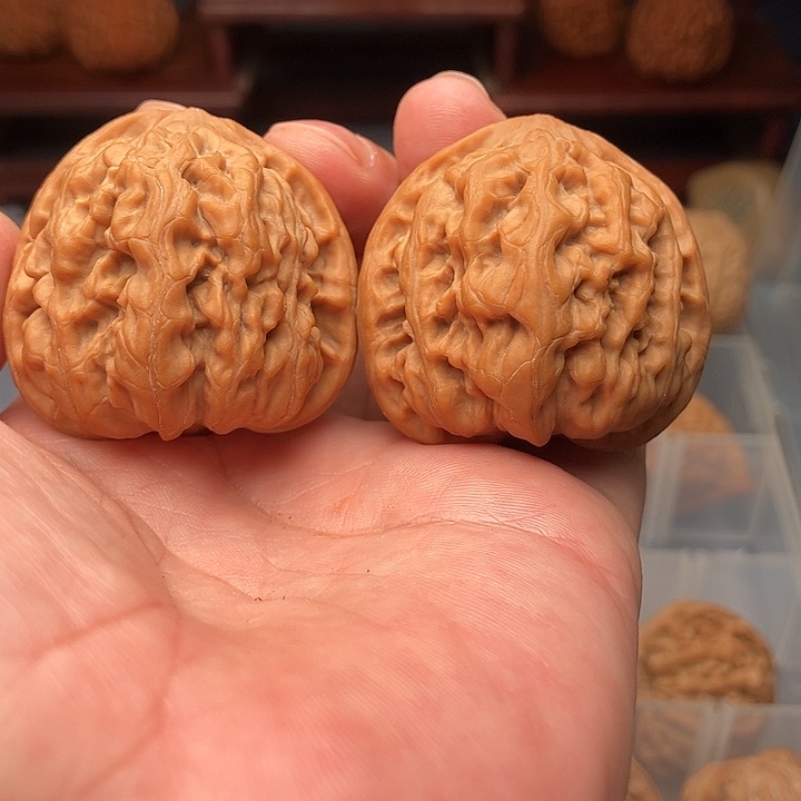 文玩核桃把件平谷九龙40