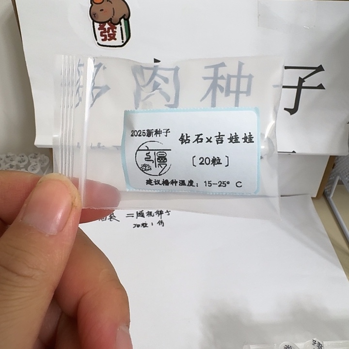 ****⁷如图糖心珍妮杂交种子钻石x吉娃娃20粒不包出芽率