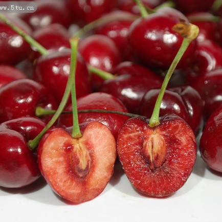 空运头茬智利进口1 - 5斤两同城小时达顺丰1 - 5J内附果径卡桑提娜樱桃智利共和国