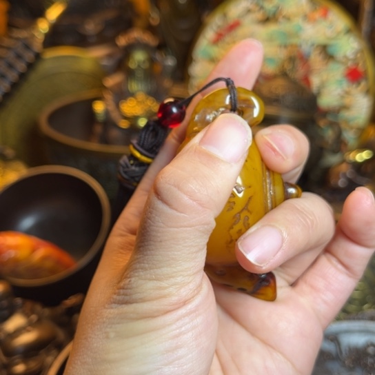 点击这里下单铜铜