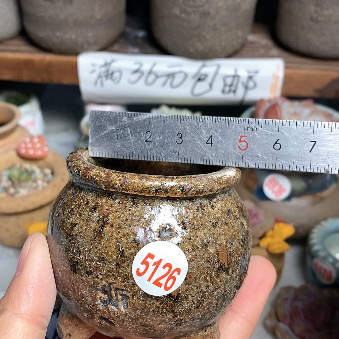 红陶拍5送一个小