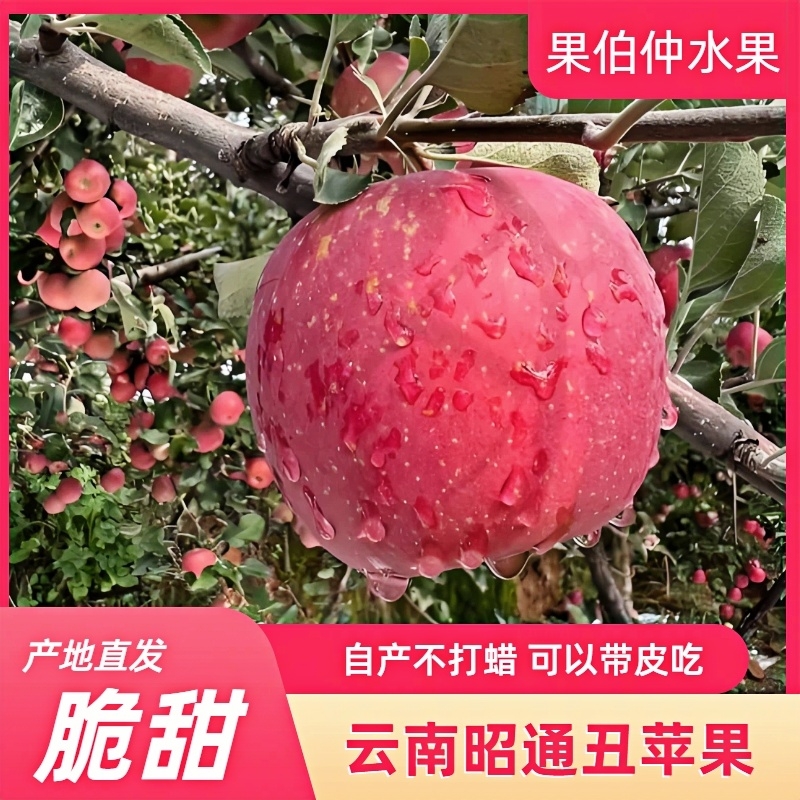 正宗云南昭通糖心丑苹果5斤包邮应季水果产地直发脆甜多汁优质