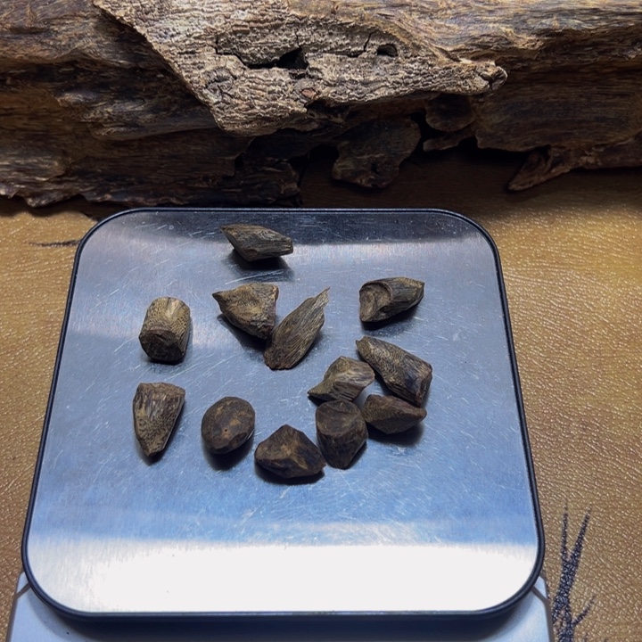 黄***钻沉香沉香碎屑沉水树丁18.8g