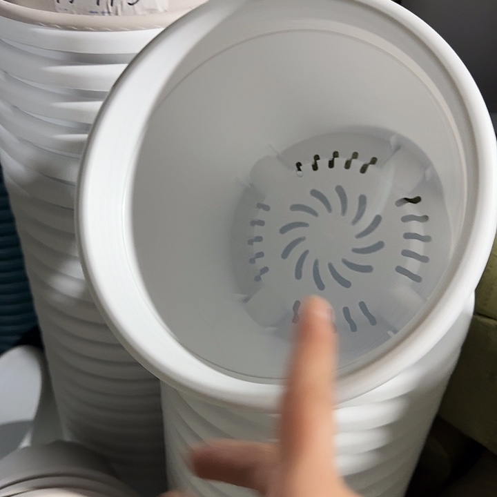 四季3号纯白无托10个特价微瑕