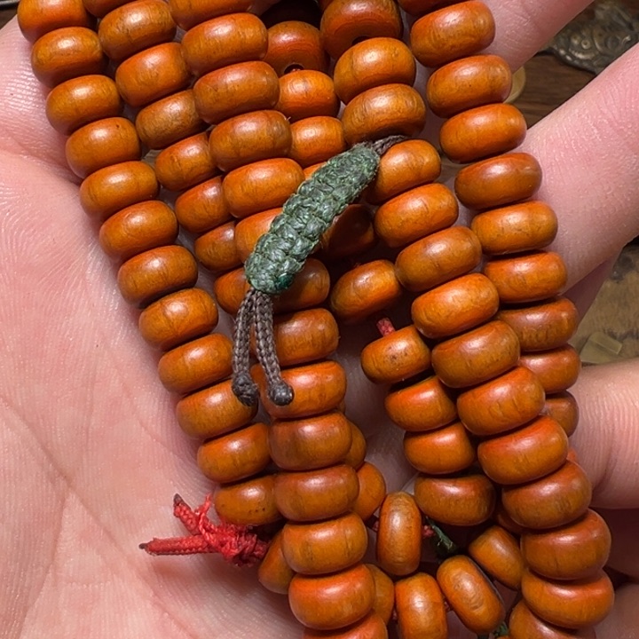 我们都会在这里等