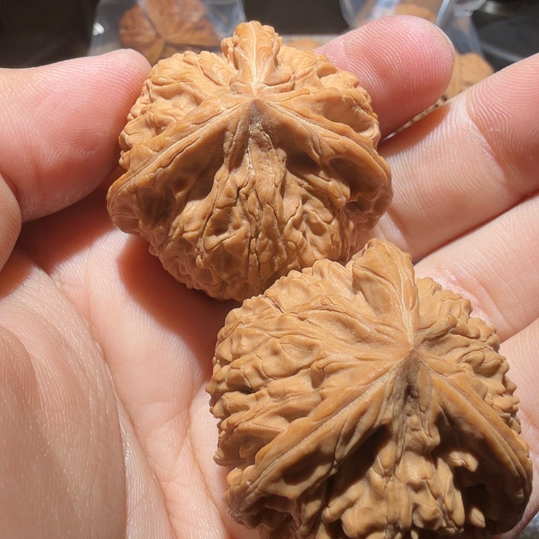 文玩核桃把件御龙