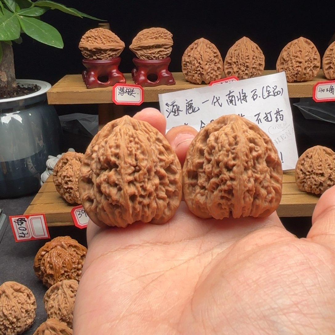 h***生核桃卡扣涿鹿南疆一代