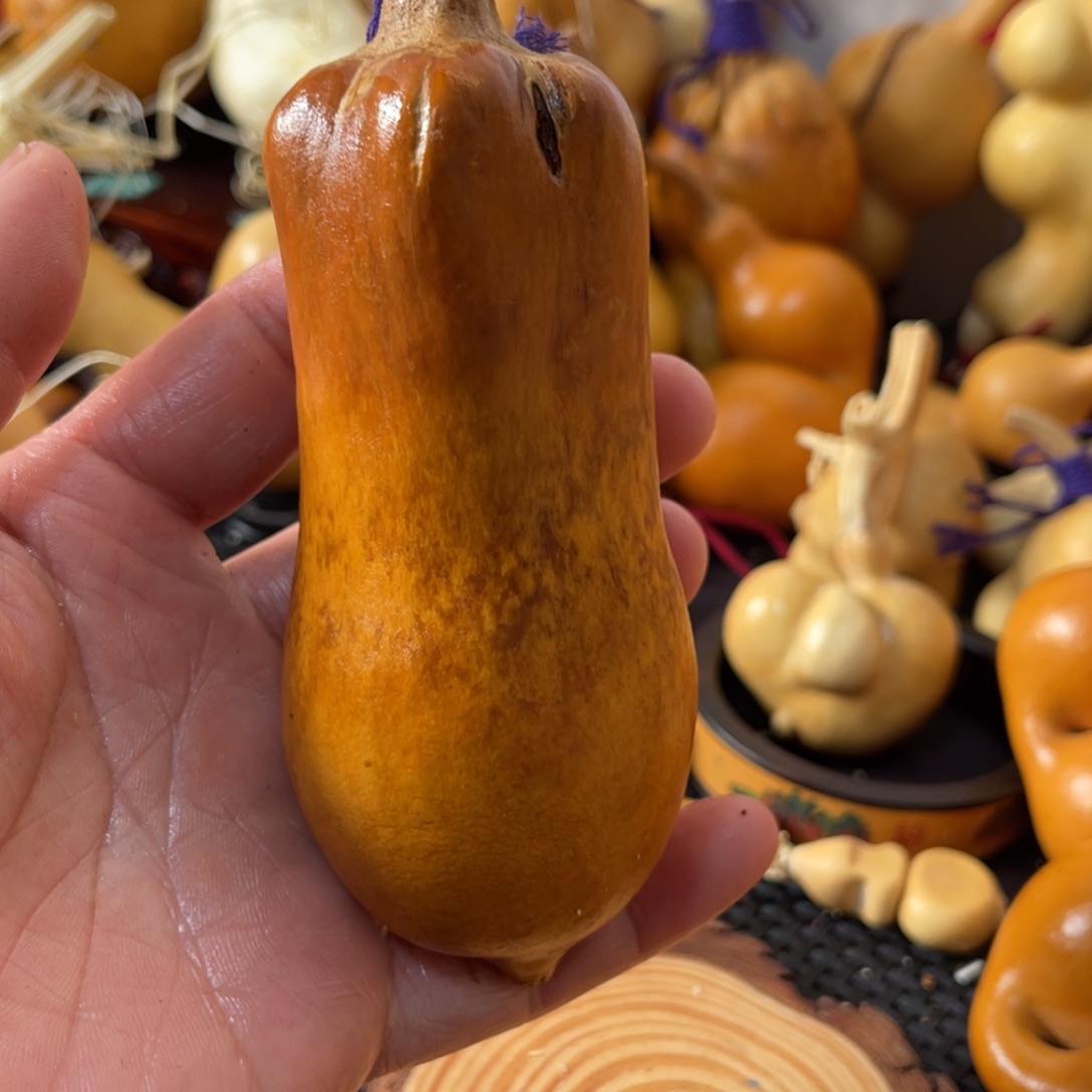 超***爸葫芦哈哈哈哈哈哈哈哈