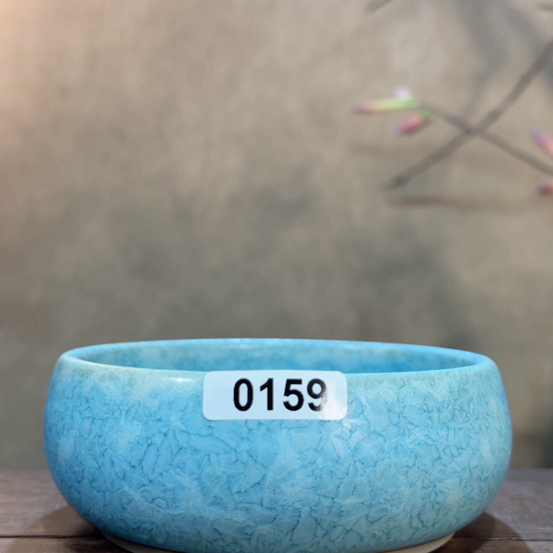 罐015900000000000000
