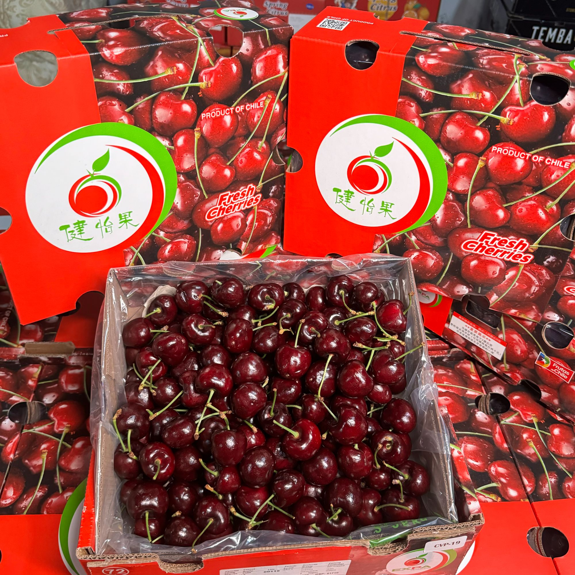 【乐鲜果园】海运智利桑提娜车厘子3J大果进口樱桃 内附果径卡