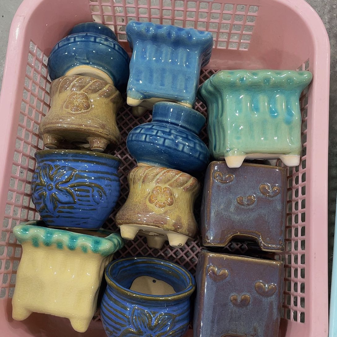 多肉花盆处理9.99包邮