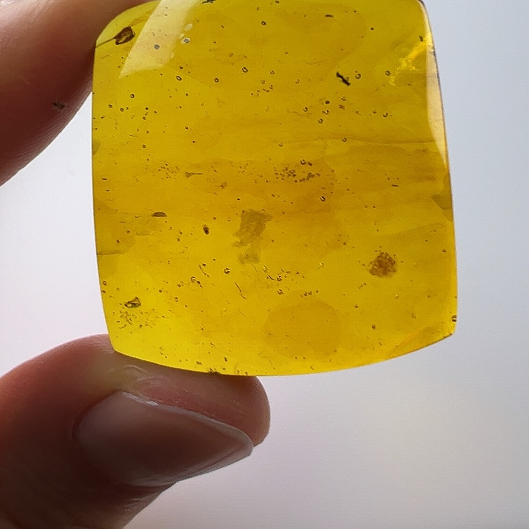 琥珀裸石未镶嵌琥珀虫卵牌子