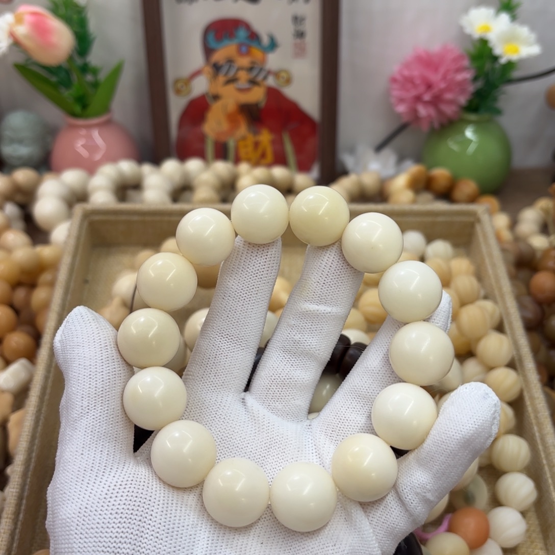 吊坠菩提根/象牙果20干磨瑕疵落地果188