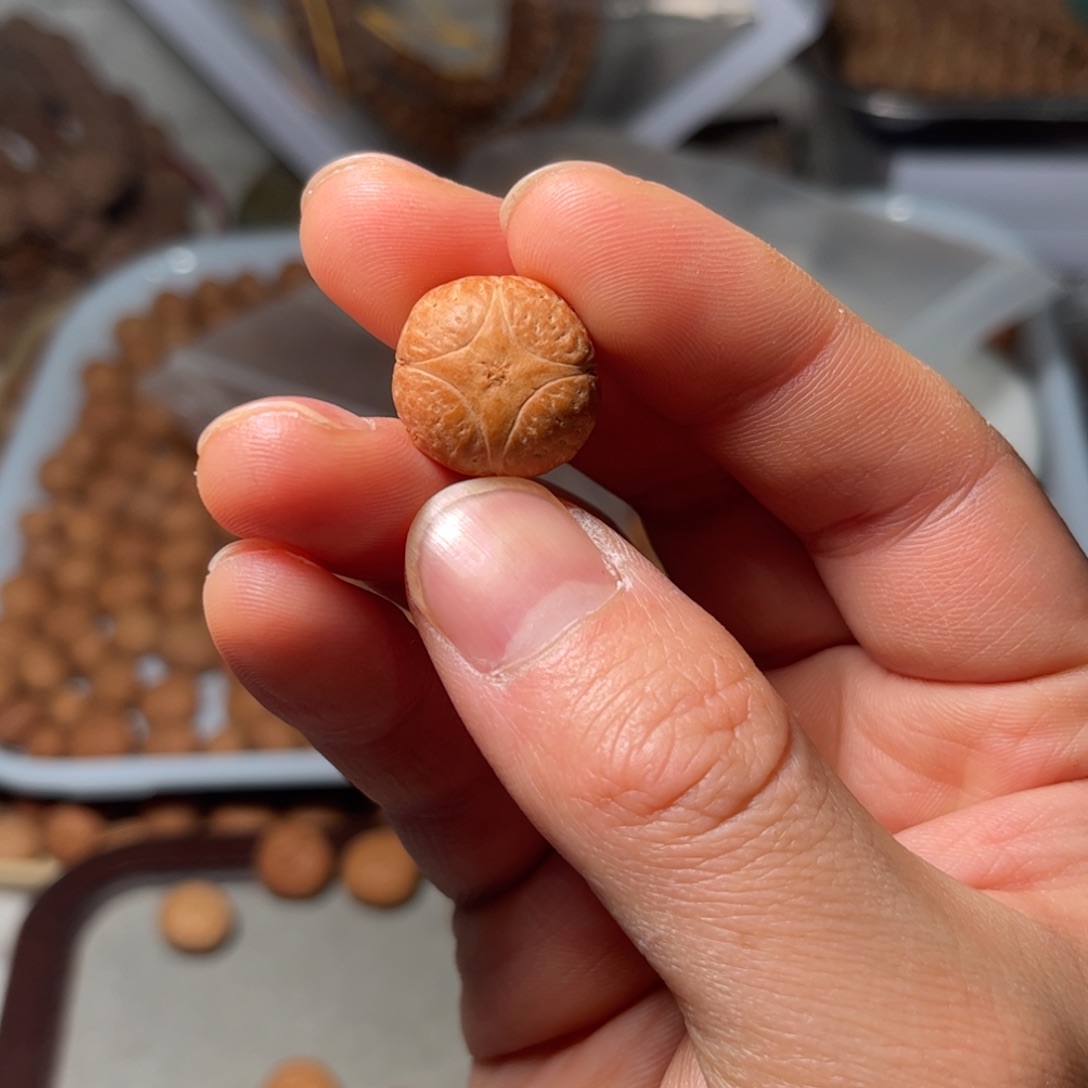 桃核吊坠卡****卜补邮费差价