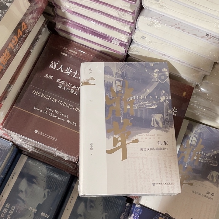 鼎格：微瑕微瑕/6.