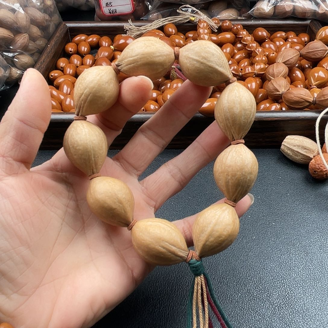 吊坠龙脊菩提橄榄树等植物