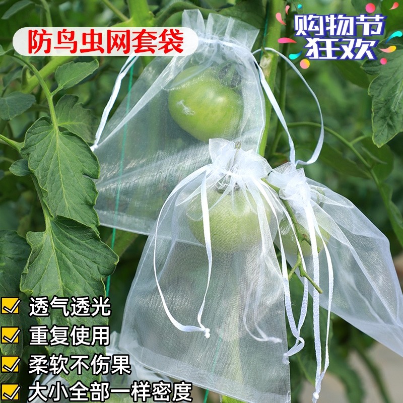 防虫防鸟草莓保护套袋透水透气防虫纱网袋葡萄无花果番茄枇杷套袋