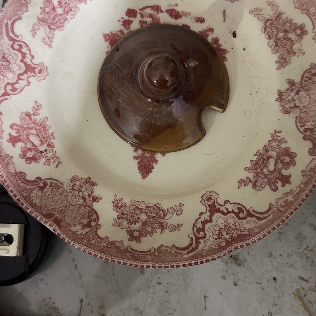 简****茶盏好想和您聊聊我也没去上班