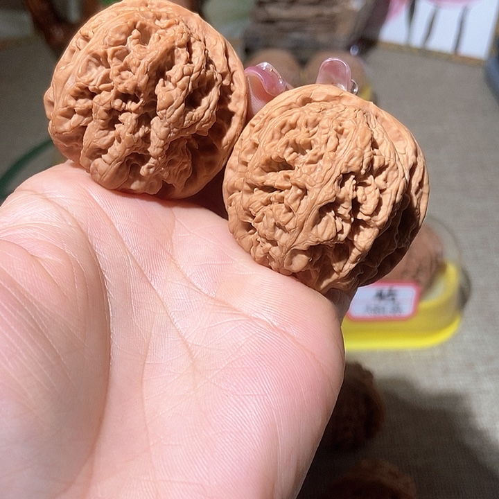 44尺寸大粗筋！好运连连