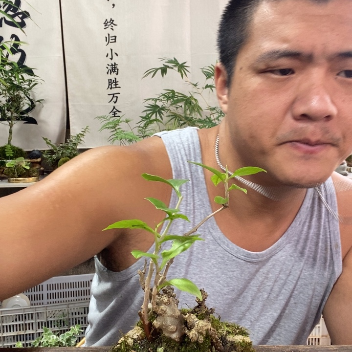 快***着无花朵退款拉黑拉黑126