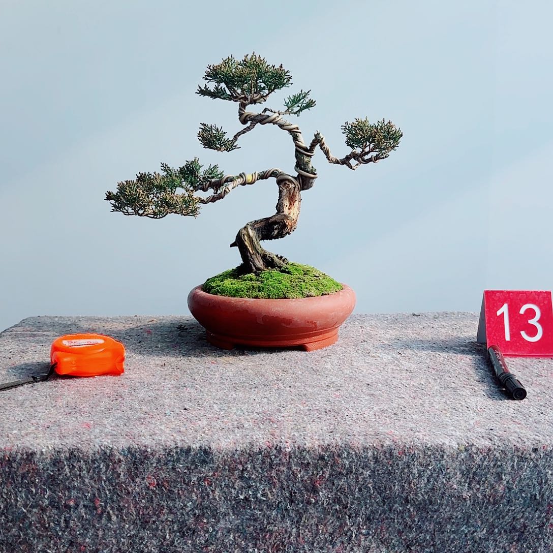 艺***园完全开放看了一物一拍济州